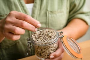 مغز تخمه آفتابگردان